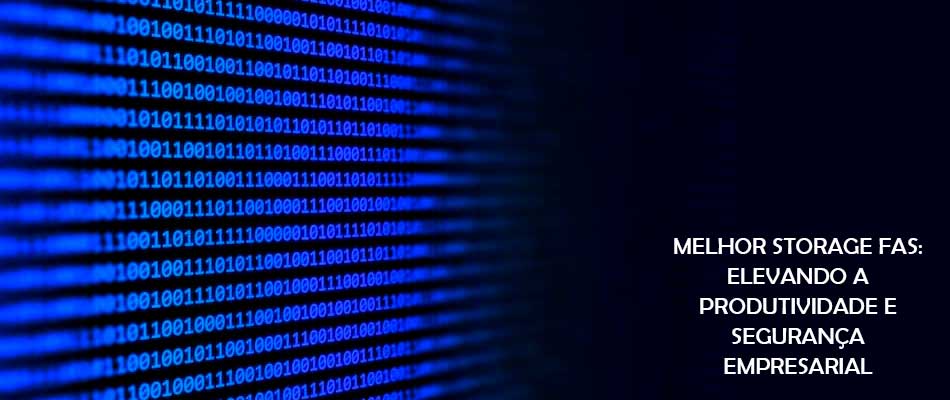 Melhor Storage FAS, Flash Array Storage