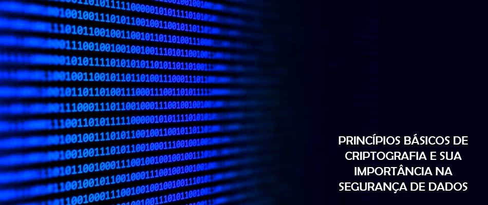 Princípios básicos de criptografia e sua importância na segurança dos dados